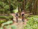 Lej cykler i Cham (10 km), og begiv jer ud på to hjul i de smukke skovområder