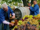 Alle Rhinbyer har sin egen vinfestival - gå ikke glip af den i Rüdesheim am Rhein