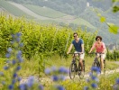 Husk at leje cykler i Cochem, og opdag de smukke cykelruter langs floden