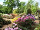 Nyd Westerstedes grønne parker i foråret, sommeren og efteråret - her den smukke Rhododendronpark