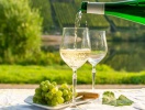 Mosels vinlandskab er historisk - og I har chancen for at smage på Mosels lækre Rieslingvine
