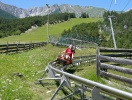 Ta linbanan Marienbergbahn i Biberwier upp till en hisnande sommarrodelbana