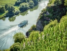 Tag en turbåd, og kom på en længere udflugt langs Mosel og de omkringliggende byer