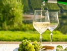 Mosels vinlandskab er historisk - og I har chancen for at smage på Mosels lækre Rieslingvine