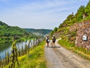 Tag også på vandring gennem vinmarker, skovområder og eventyrlige dale omkring Mosel
