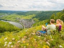Se frem til en ferie i Alf i Mosels maleriske flodlandskab