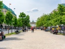 Unter den Linden är en berömd och historisk aveny i centrala Berlin