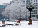 Njut av vintern skönhet under en julmarknadsvistelse i Berlin