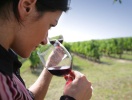 Burgenland er en af landets vigtigste vinregioner og kendt for både røde vine og dessertvine