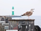En by, hvor maritim atmosfære møder strandliv og feriefølelse