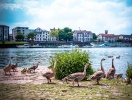 Njut av en minipaus i idylliska omgivningar vid Neckarfloden