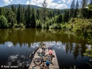 I naturparken Zirbitzkogel rör du dig från tät granskog till öppna områden med lärk och tallar