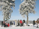 Njut av Harz i snöklädda landskap