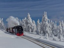 Kliv ombord på en nostalgisk tågresa genom ånga och rök - och upplev landskapet i ett härligt tempo