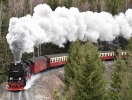 Harzer Schmalspurbahnen är en av Harzs största turistattraktioner