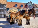 Det finns mysighet och atmosfär i Wernigerode - och flera olika sätt att ta sig runt på