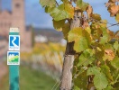 Området omkring Sankt Goar er perfekt til vandring og her findes flere fine, afmærkede ruter
