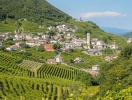 Det smukkeste landskab og den bedste Prosecco skulle efter sigende komme herfra: Valdobbiadene