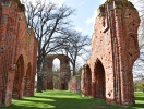Greifswalds lange historie bevidnes bl.a. af de gamle klosterruiner