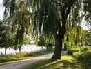 Den velanlagte promenade ved Vörder See indbyder til gåture