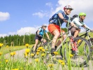 Der er masser af vitaminer i at udnytte de afmærkede stier til en cykeltur i nye omgivelser