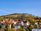Det bakkede landskab omkring feriebyen Oberhof lokker mange hertil