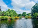 Slotshotellet er omgivet af en slotspark, der byder på flotte vandrestier