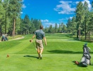 Omkring slottet findes flere gode golfbaner, hvis I får lyst til at være aktiv på greenen