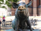 Se de sjove bronzegrise ved Schweinsbrücke - en lille, legende detalje i Wismar