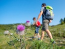 Kom också ihåg att utnyttja de många markerade vandringslederna runt Wörthersee