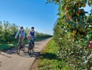 Ta en cykeltur genom det platta landskapet © urlaubsregion-altesland