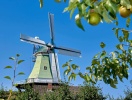 Altes Land är fyllt med pittoreska detaljer © urlaubsregion-altesland