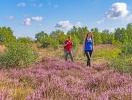 Du bor också väldigt nära naturupplevelserna på Lüneburger Heide