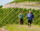 Du är också omgiven av Rheinlands stolthet: de berömda vingårdarna