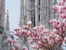 En stadssemester blir inte mer romantisk än i Wien...