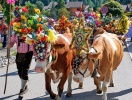 I Alperna lever folktraditionerna kvar och har du tur får du vara med och uppleva säsongsbetonade event