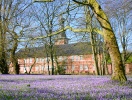 Husum slott är centrum för krokusfestivalen i mars - var med och hälsa våren välkommen