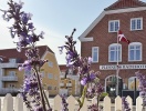 I bor præcis mellem gågaden og havnen - mere centralt bliver det ikke i Skagen
