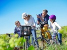 Hotellet har cykeluthyrning - och en cykeltur är perfekt på de små vägarna runt Holbæk