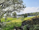 Alle tidspunkter på året har sin egen charme på Breanäs Hotell - fra den spæde vår...