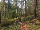 Glæd jer til at gå på opdagelse i den sydsvenske natur fra jeres lille oase ved Immeln