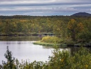 Måske er I heldige at spotte en elg i den vilde natur på jeres miniferie i vildmarken