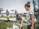 Du kan också hälsa på djuren i fjällstationens lilla djurpark där du kan klappa djuren