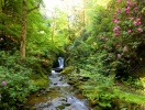Oplev de smukke Geroldsauer Wasserfälle midt i Schwarzwalds frodige natur