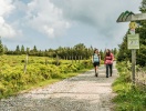 Vandreruter for både nybegyndere og erfarne naturelskere