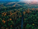 Vejen gennem Schwarzwald fører til store ferieoplevelser!