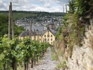 Vandringsleden längs Mosel bjuder på varierande miljöer - här stigen nära Bernkastel-Kues