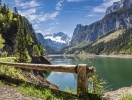 Glæd jer til at opleve en natur så ren og rolig som den kun er i Alperne