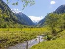 Grønne enge og bjergudsigt i Rauristal