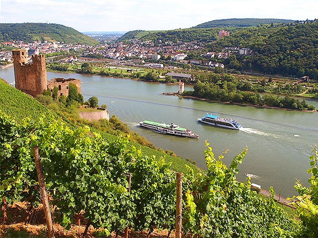 Sommerferie i Rhinen